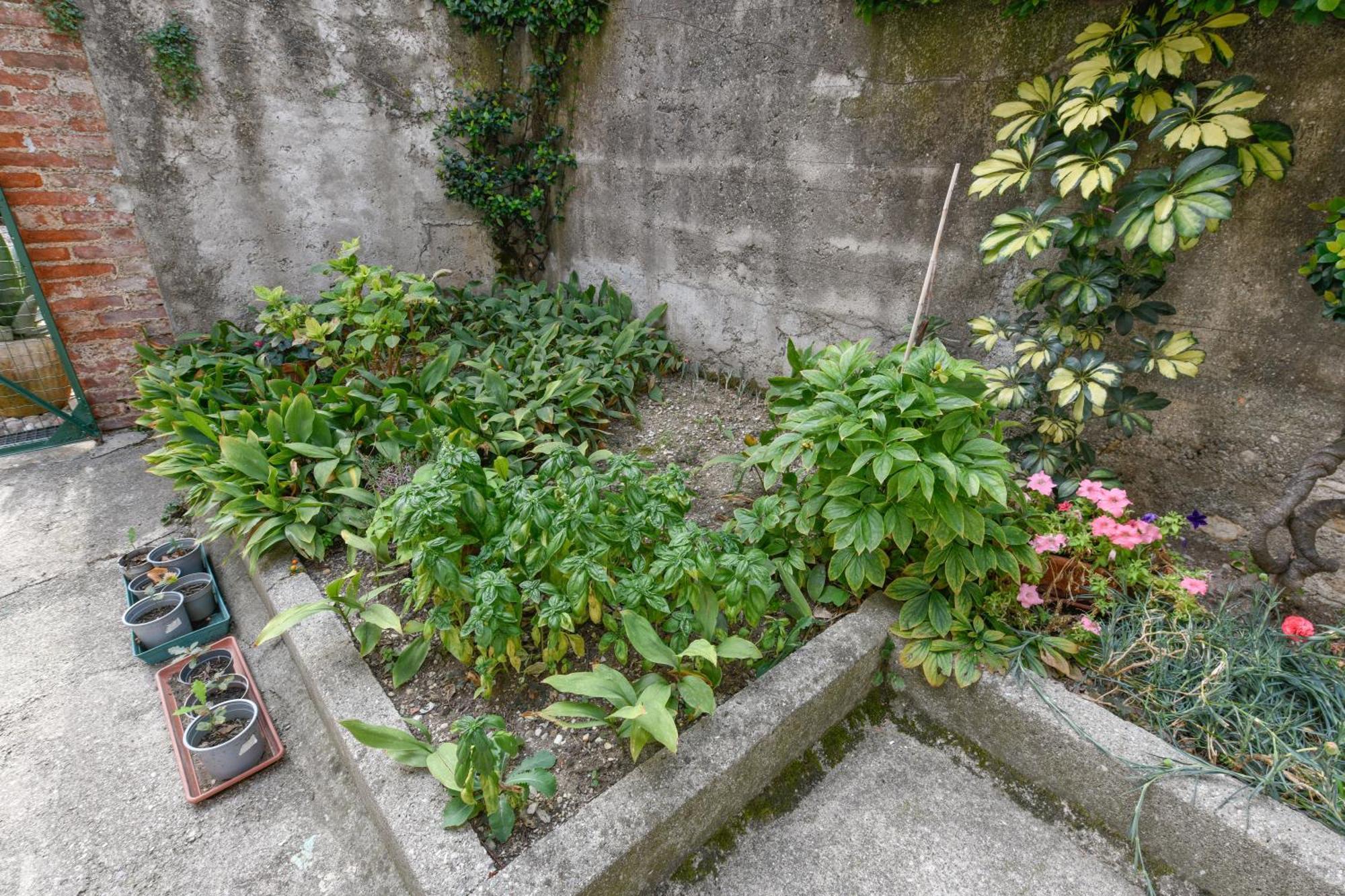 Appartamento In Piazza Moniga del Garda 外观 照片